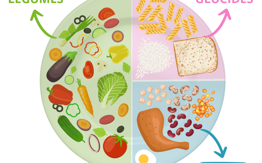 Assiettes équilibrées